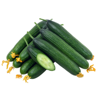 Ruchi Cucumber From Known You Seed (India)-KYI